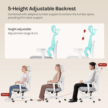 WOLTU Ergonomic Office Chair Mesh Fabric Desk Chair with Adjustable Headrest Backrest Swivel High Back Chair for Study Office
